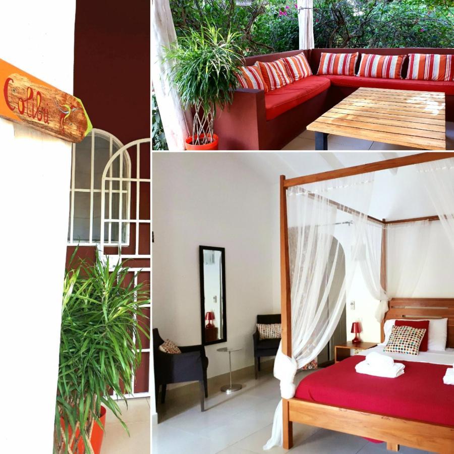 Casa Mapache Hotell Tamarindo Exteriör bild