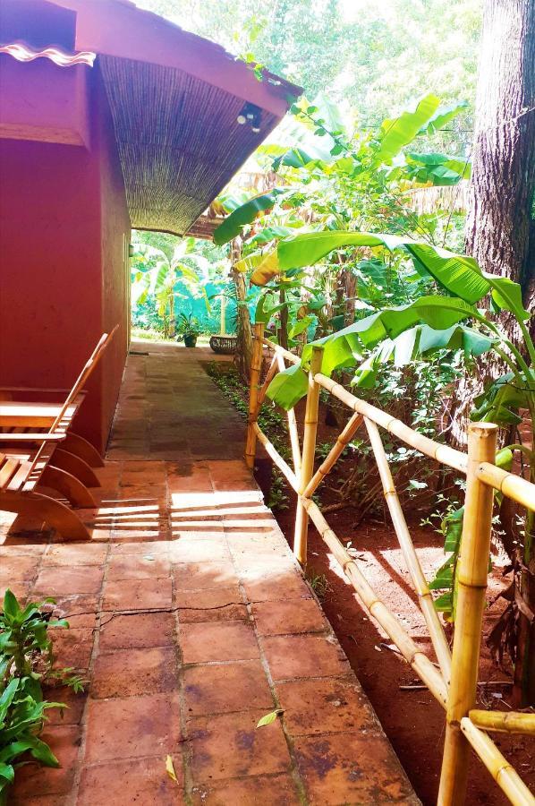 Casa Mapache Hotell Tamarindo Exteriör bild