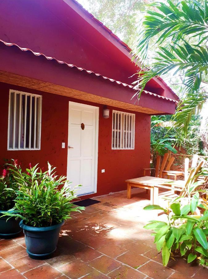 Casa Mapache Hotell Tamarindo Exteriör bild
