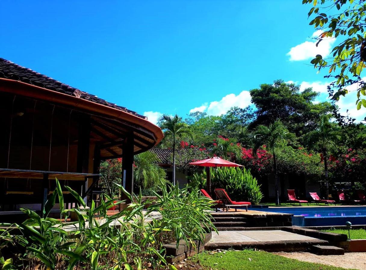 Casa Mapache Hotell Tamarindo Exteriör bild