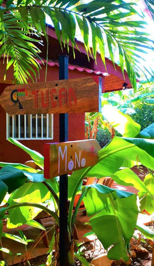 Casa Mapache Hotell Tamarindo Exteriör bild