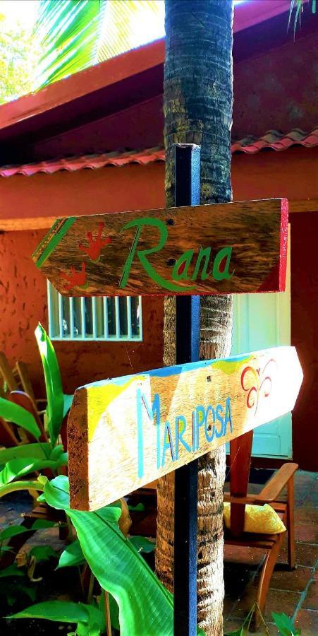 Casa Mapache Hotell Tamarindo Exteriör bild