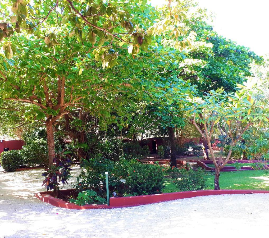 Casa Mapache Hotell Tamarindo Exteriör bild