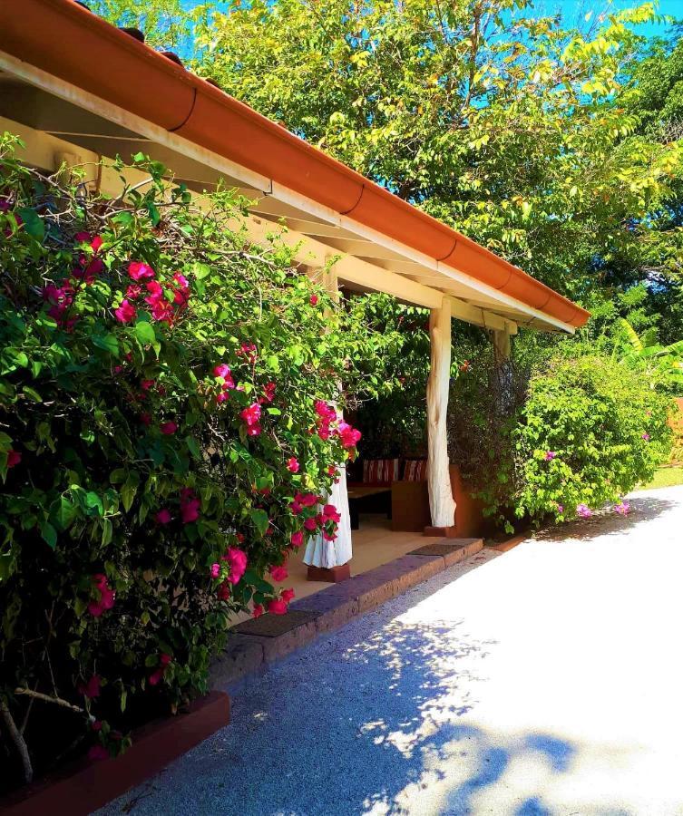 Casa Mapache Hotell Tamarindo Exteriör bild