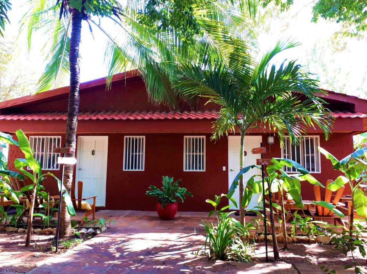 Casa Mapache Hotell Tamarindo Exteriör bild